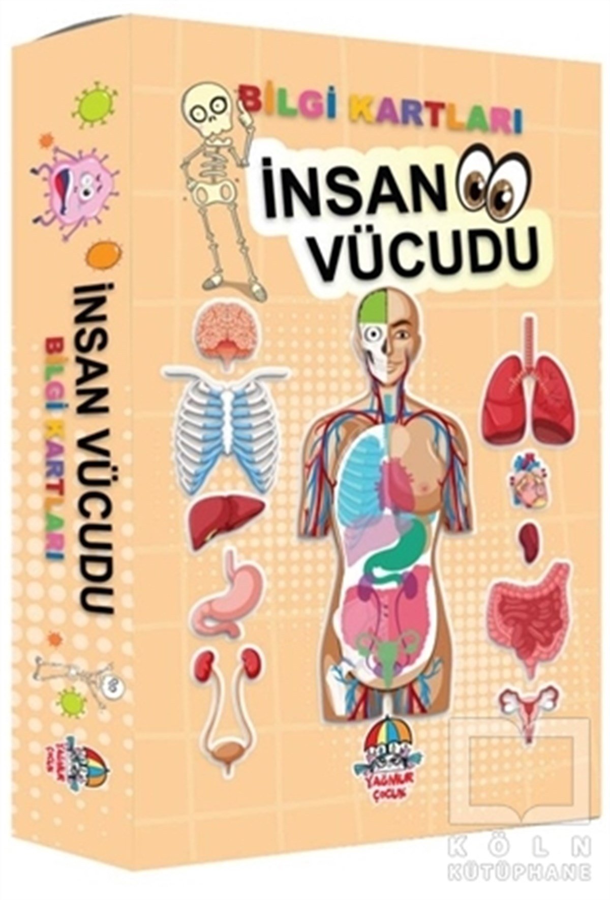 Ferhat ÇınarDiğerİnsan Vücudu Bilgi Kartları