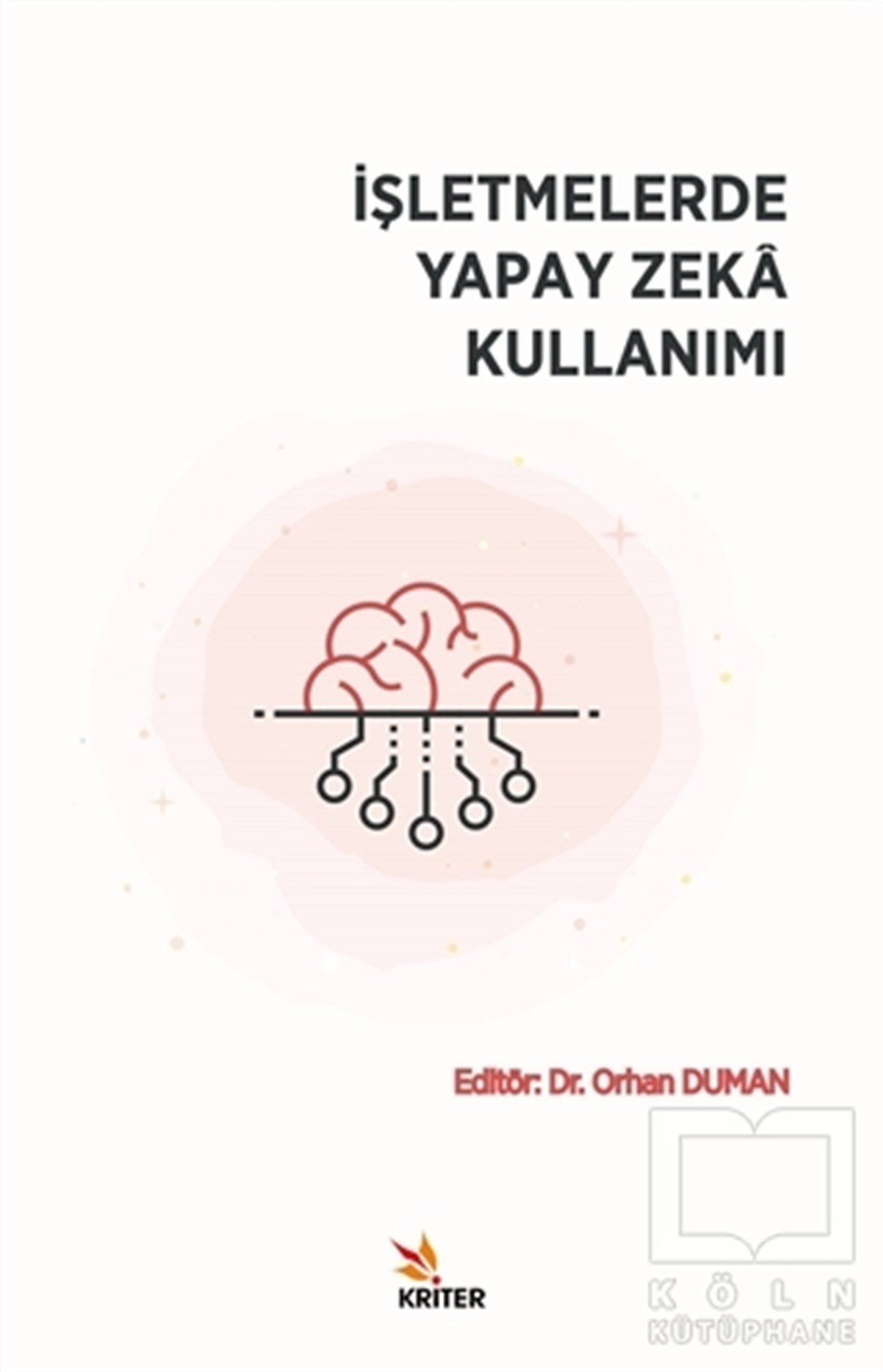 Orhan DumanKünstliche Intelligenzİşletmelerde Yapay Zeka Kullanımı