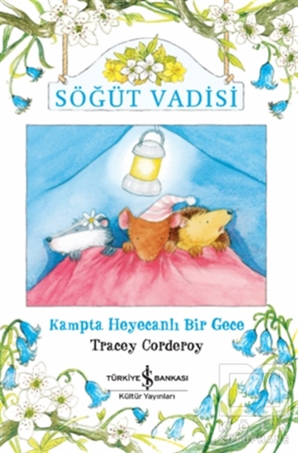 Tracey CorderoyHikayelerKampta Heyecanlı Bir Gece - Söğüt Vadisi