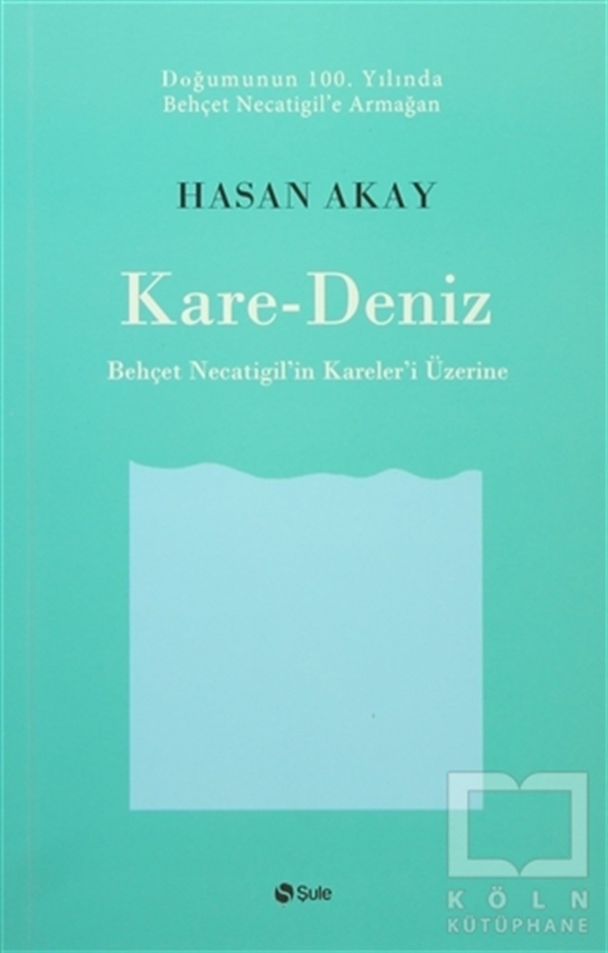 Hasan AkayAraştırma-İnceleme-ReferansKare-Deniz