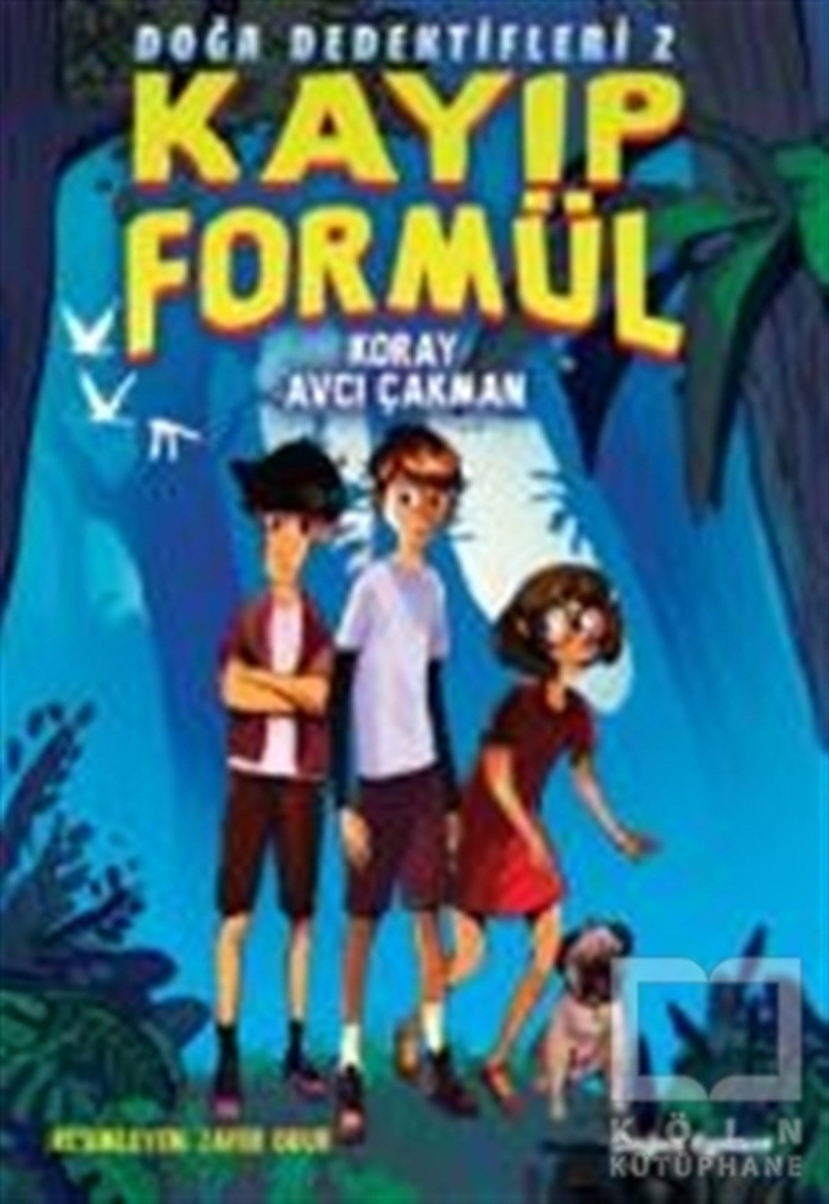 Koray Avcı ÇakmanRoman-ÖyküKayıp Formül