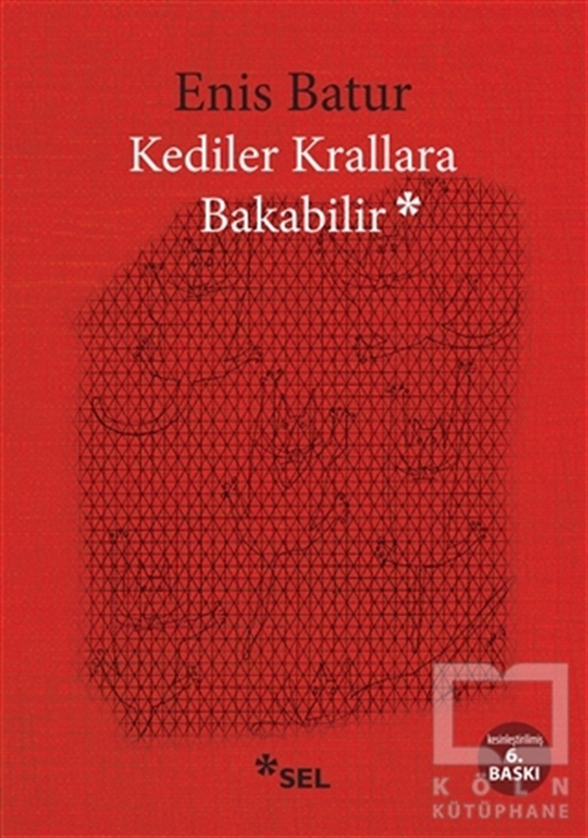 Enis BaturDeneme KitaplarıKediler Krallara Bakabilir