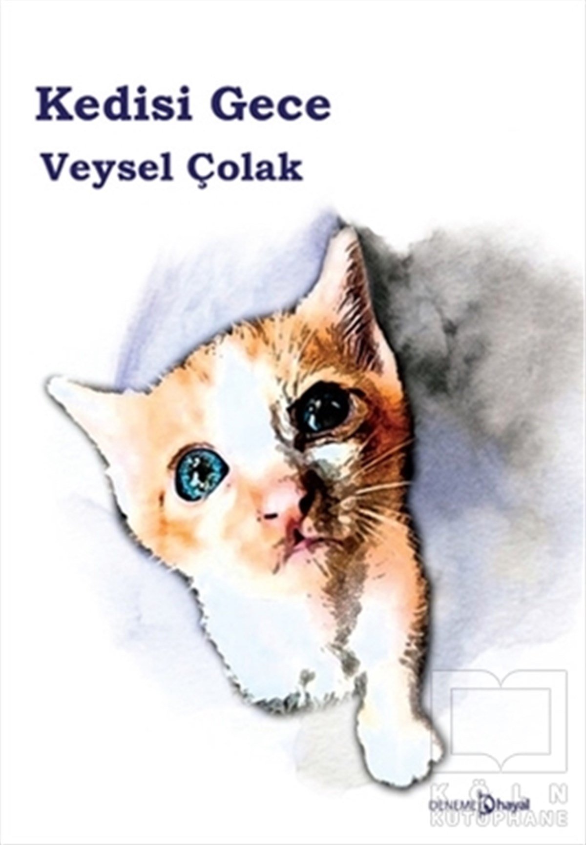 Veysel ÇolakDenemeKedisi Gece
