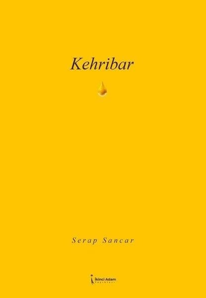 Serap SancarTürk ŞiiriKehribar