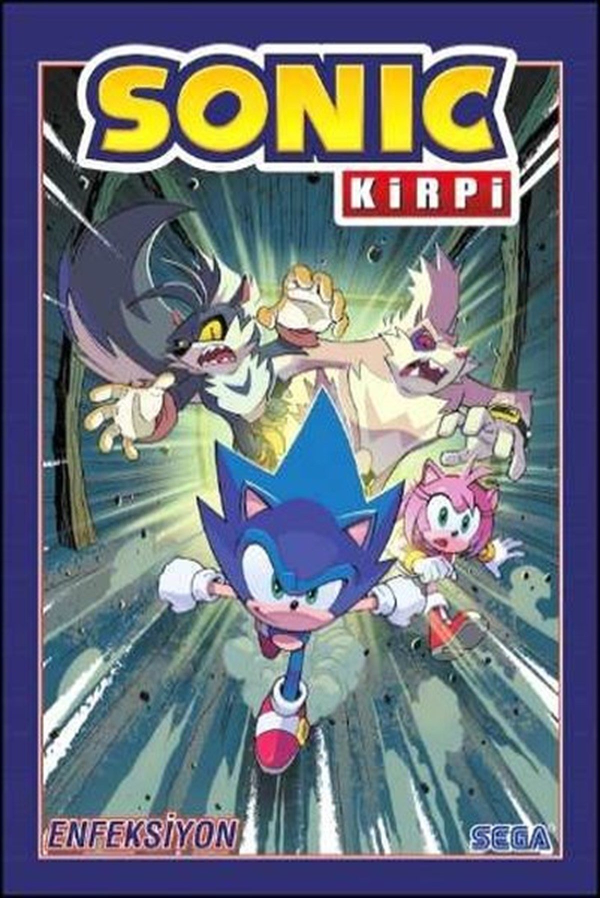 Ian FlynnÇizgi RomanlarKirpi Sonic Cilt 4 - Enfeksiyon