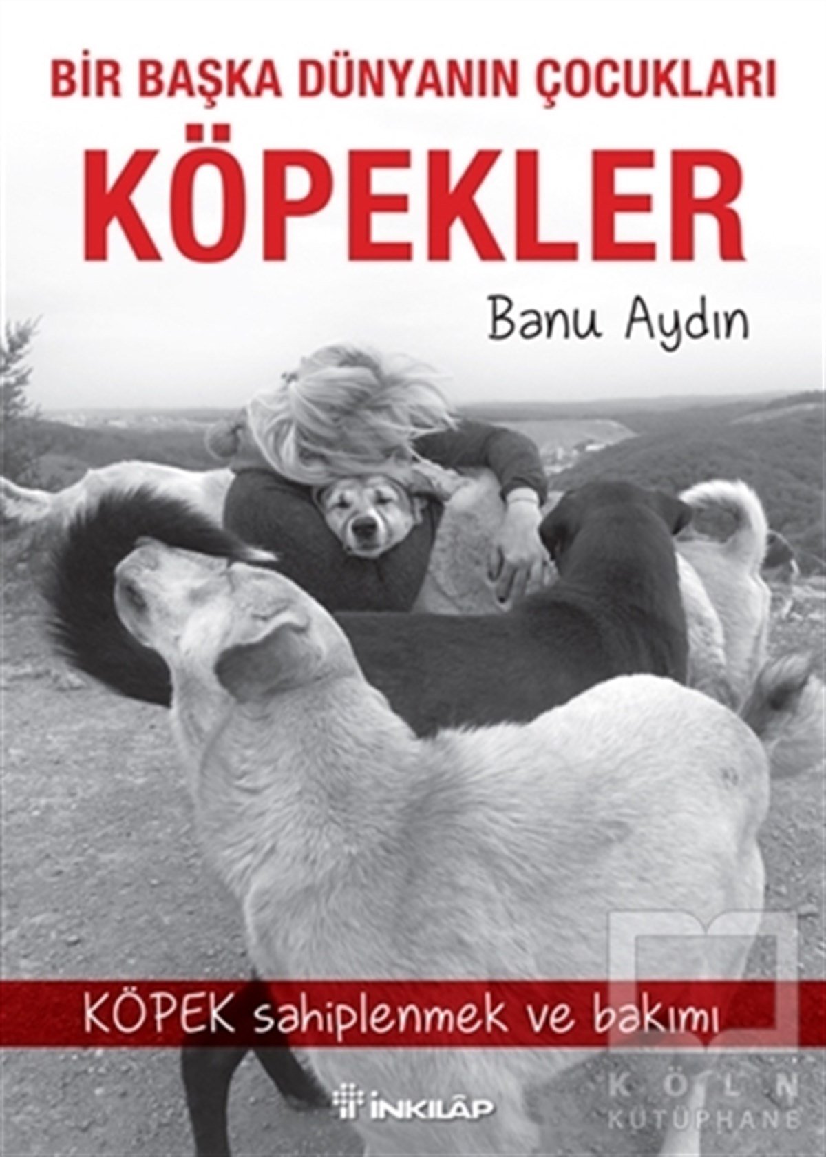 Banu AydınHayvan Bakımı ve EğitimiKöpekler