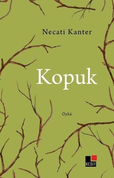 Necati KanterTürkiye RomanKopuk