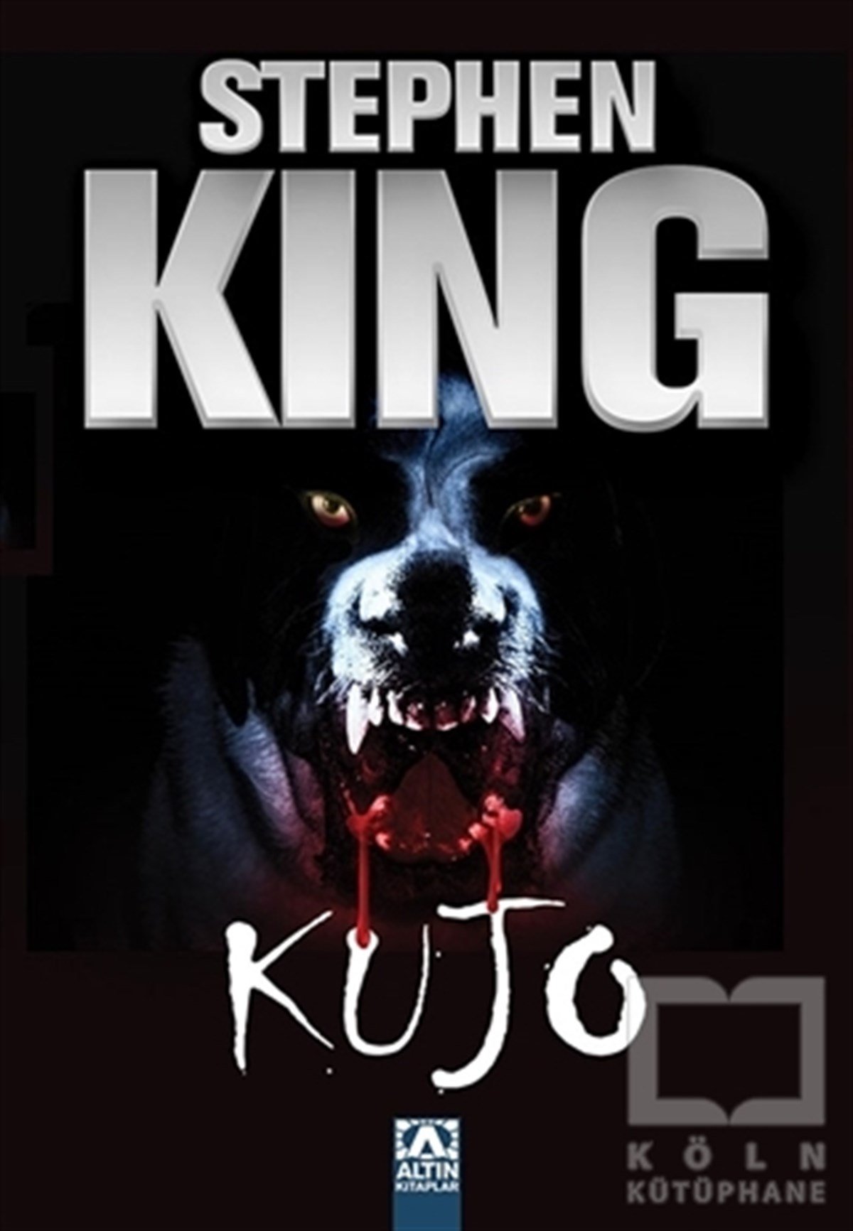 Stephen KingKorku-GerilimKujo