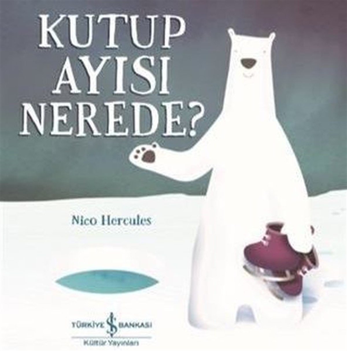 Nico HerculesOkul Öncesi Öykü KitaplarıKutup Ayısı Nerede?