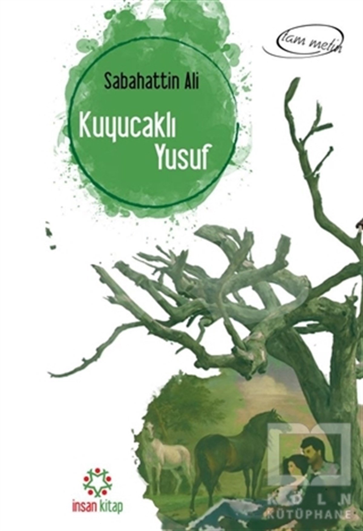 Sabahattin AliTürkçe RomanlarKuyucaklı Yusuf