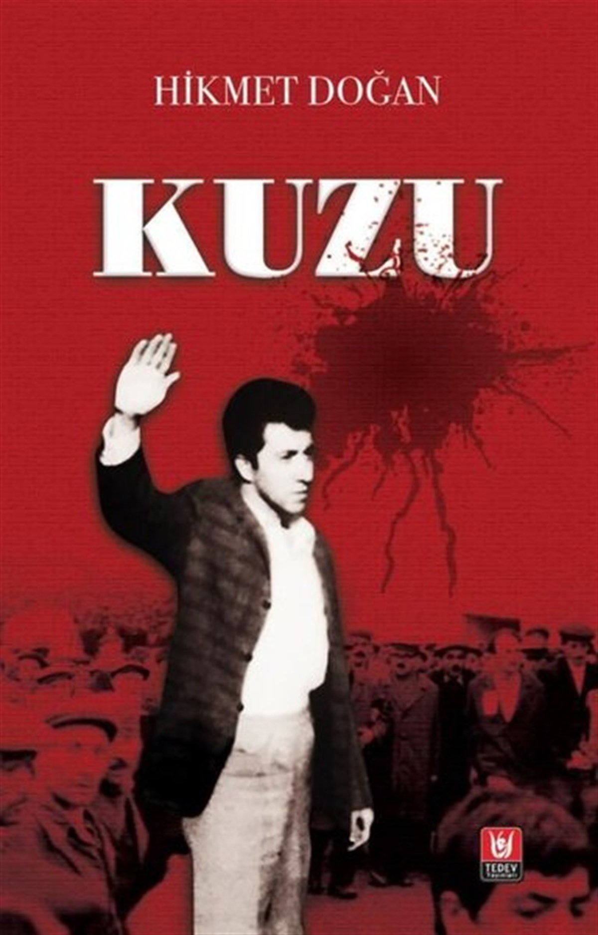 Hikmet DoğanTürkiye RomanKuzu