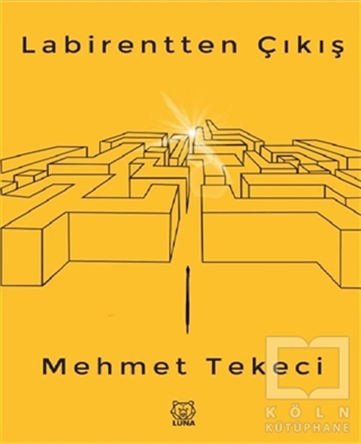 Mehmet TekeciDeneme KitaplarıLabirentten Çıkış