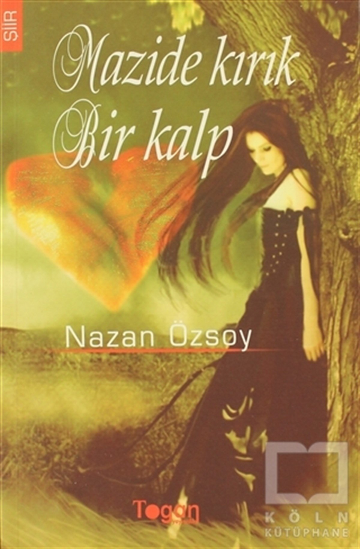 Nazan ÖzsoyŞiirMazide Kırık Bir Kalp