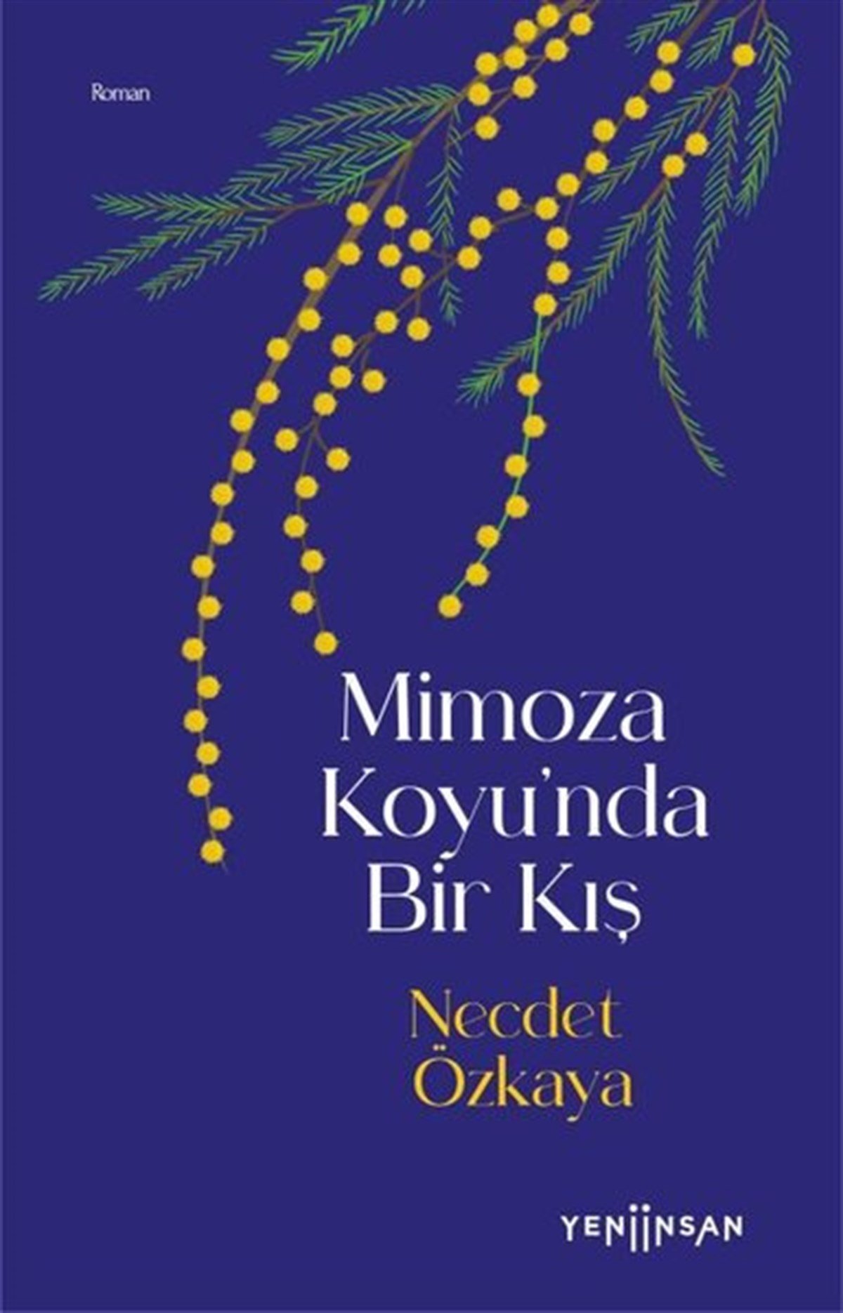 Necdet ÖzkayaKorku Kitapları & Gerilim KitaplarıMimoza Koyu'nda Bir Kış