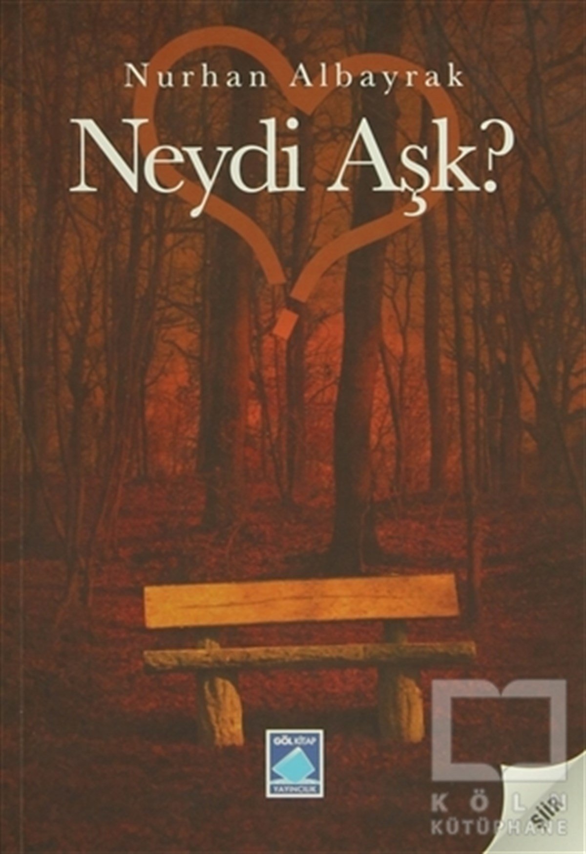 Nurhan AlbayrakŞiirNeydi Aşk ?