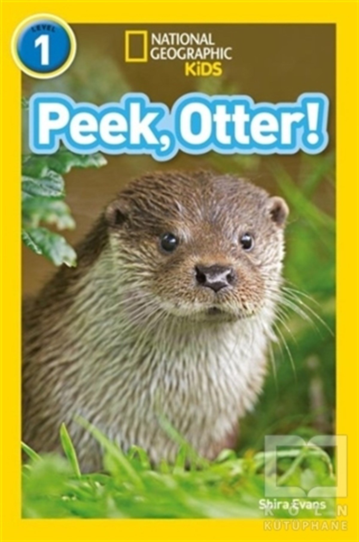 Shira EvansYabancı Dilde KitaplarPeek, Otter! (Readers 1)