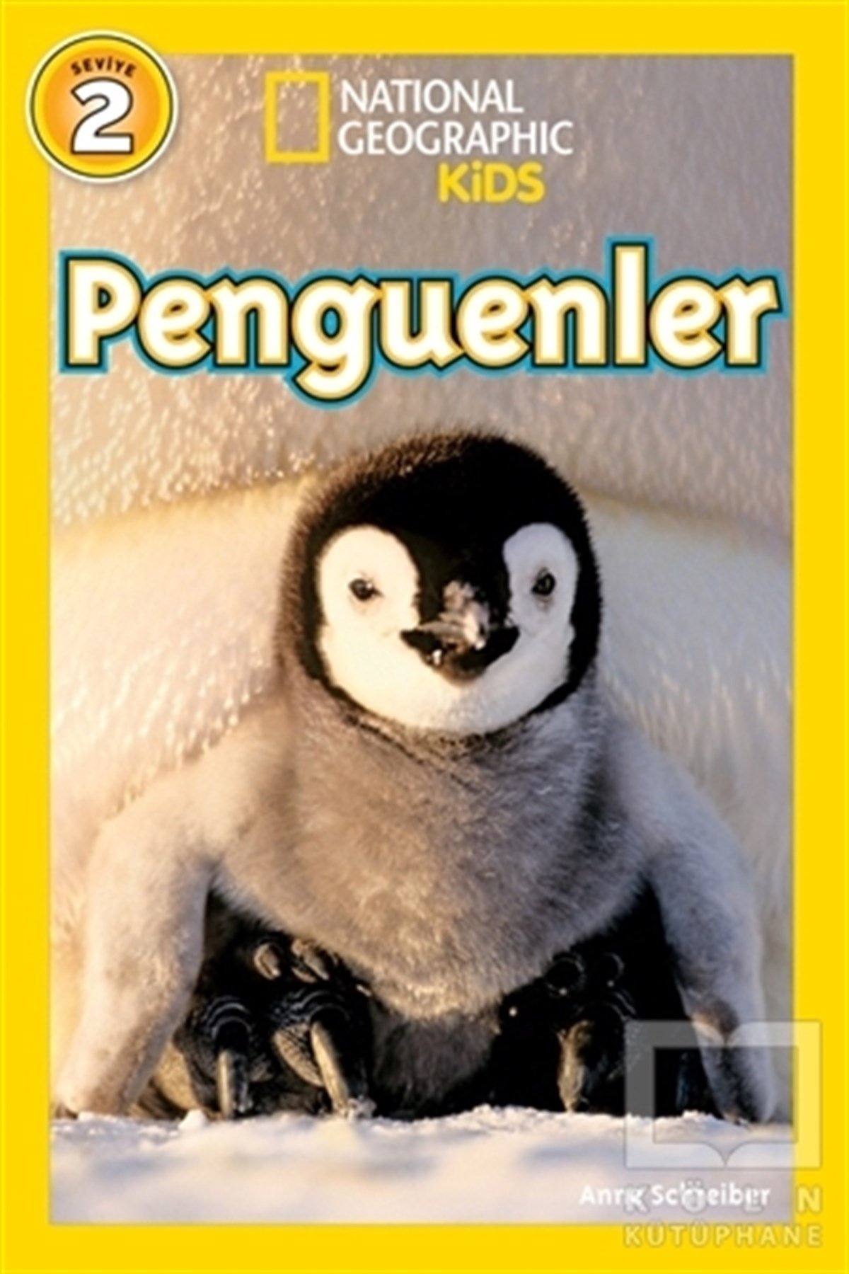 Anne SchreiberEtkinlik KitaplarıPenguenler