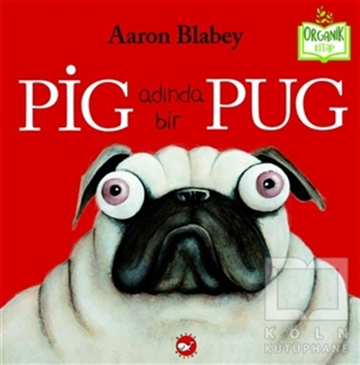 Aaron BlabeyOkul Öncesi Resimli KitaplarPig Adında Bir Pug