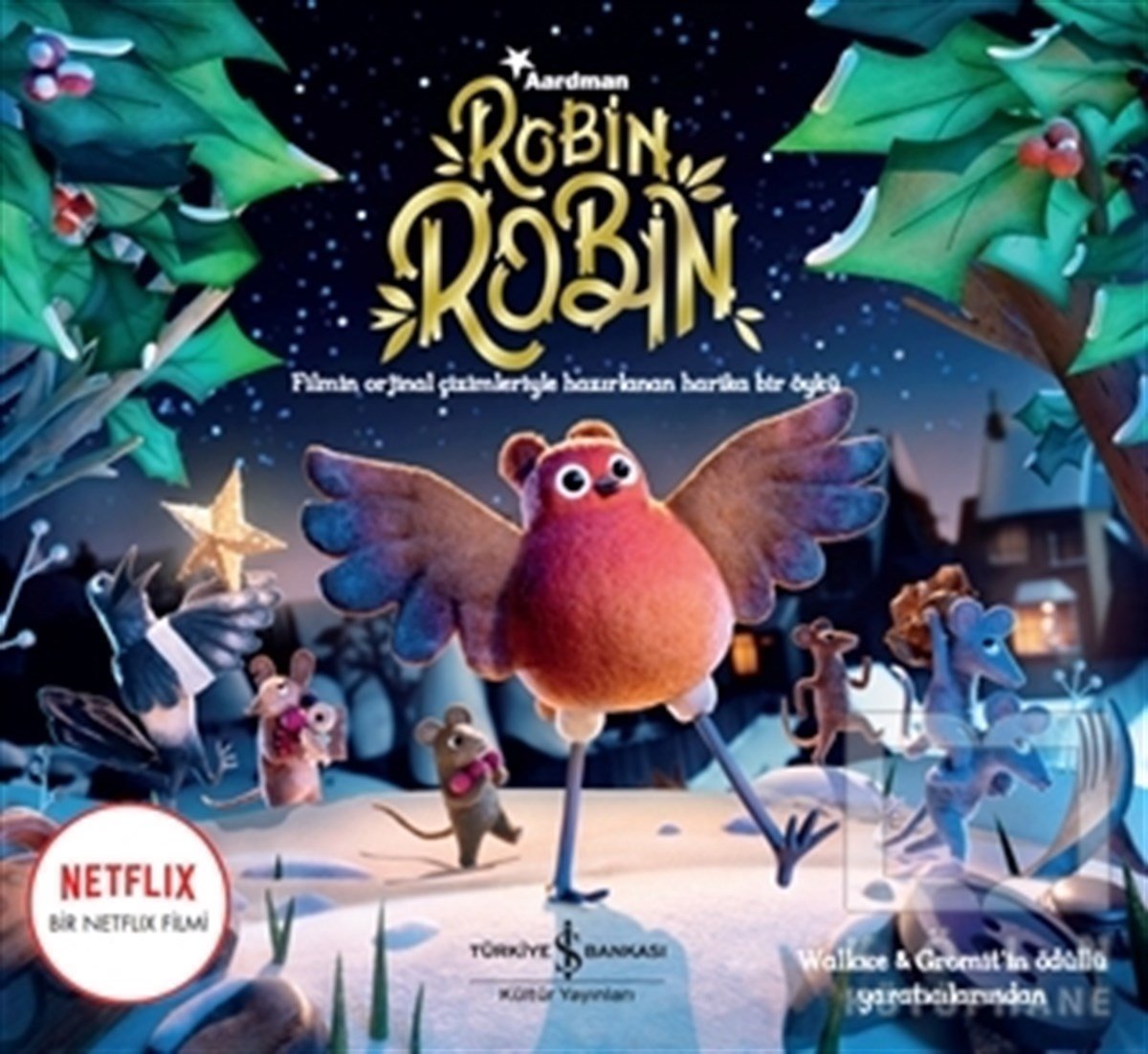 Ali BerktayÇocuk Hikaye KitaplarıRobin Robin - 2