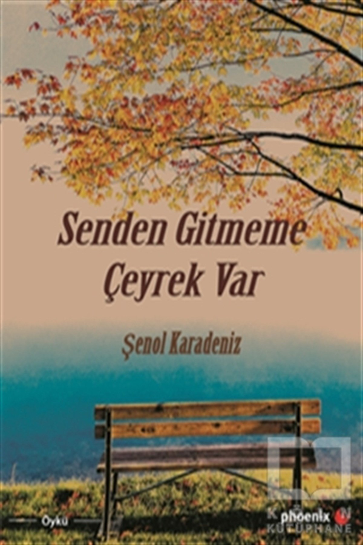 Şenol KaradenizÖyküSenden Gitmeme Çeyrek Var