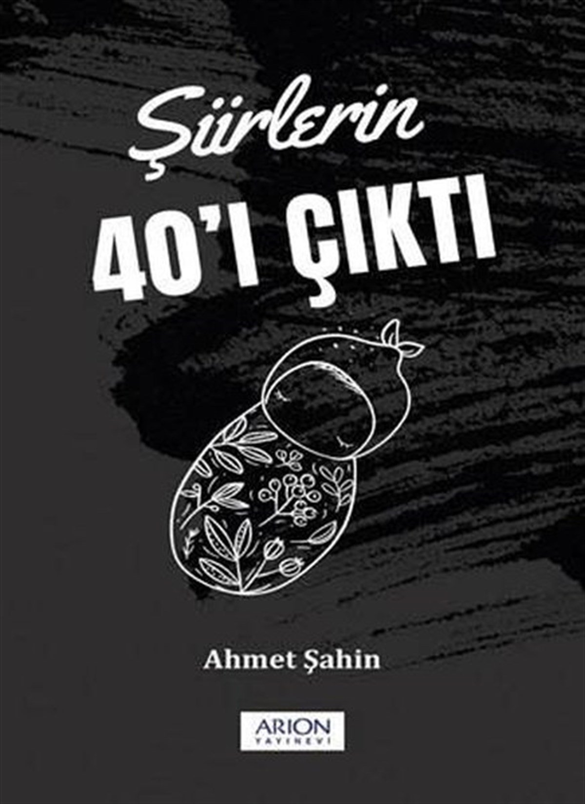 Ahmet ŞahinTürk ŞiiriŞiirlerin 40'ı Çıktı