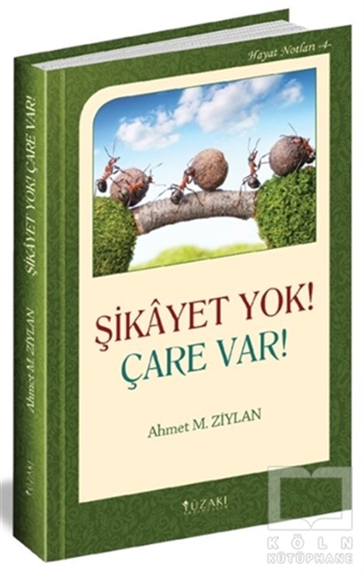 Ahmet M. ZiylanKültürŞikayet Yok! Çare Var!