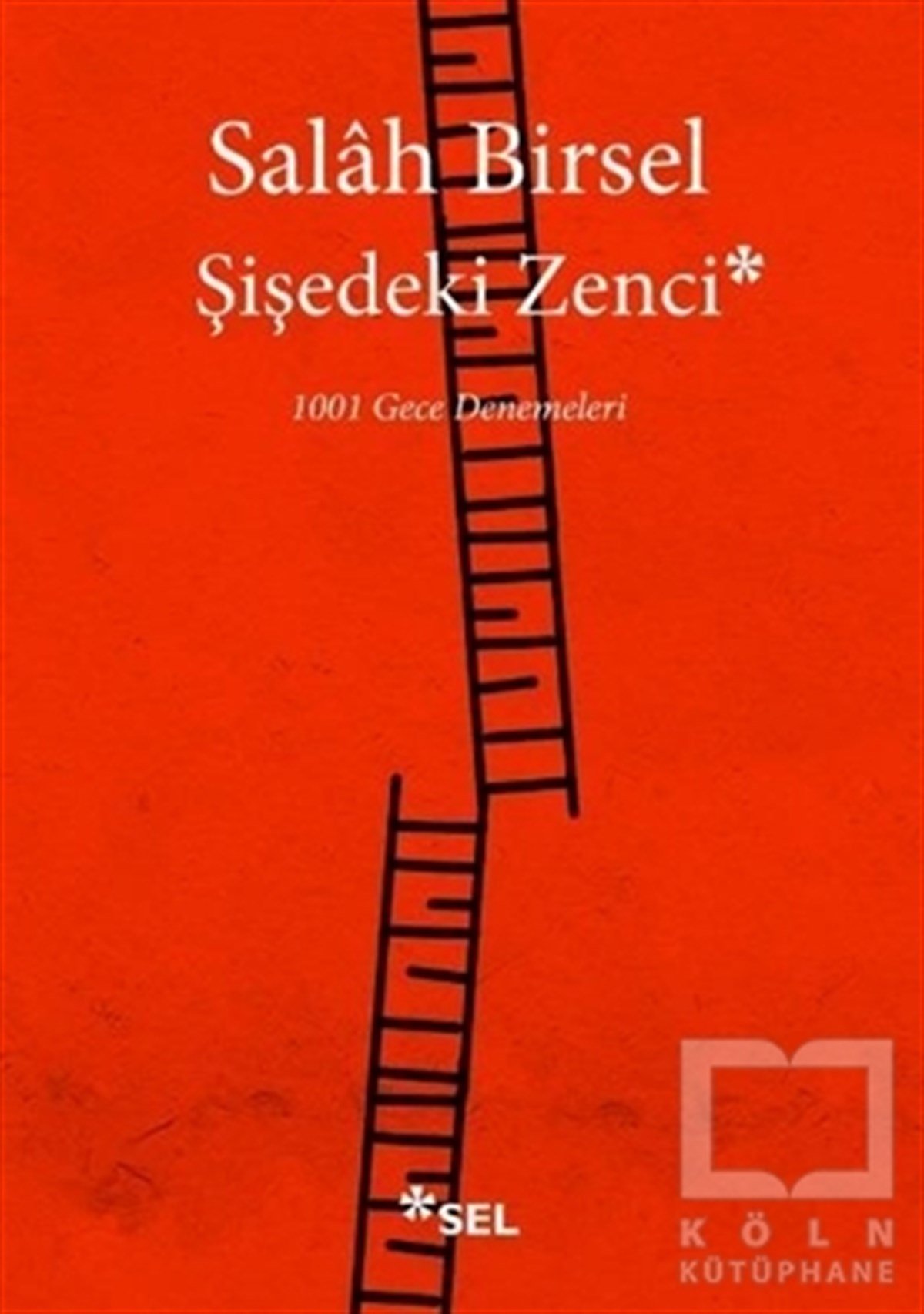 Salah BirselDenemeŞişedeki Zenci