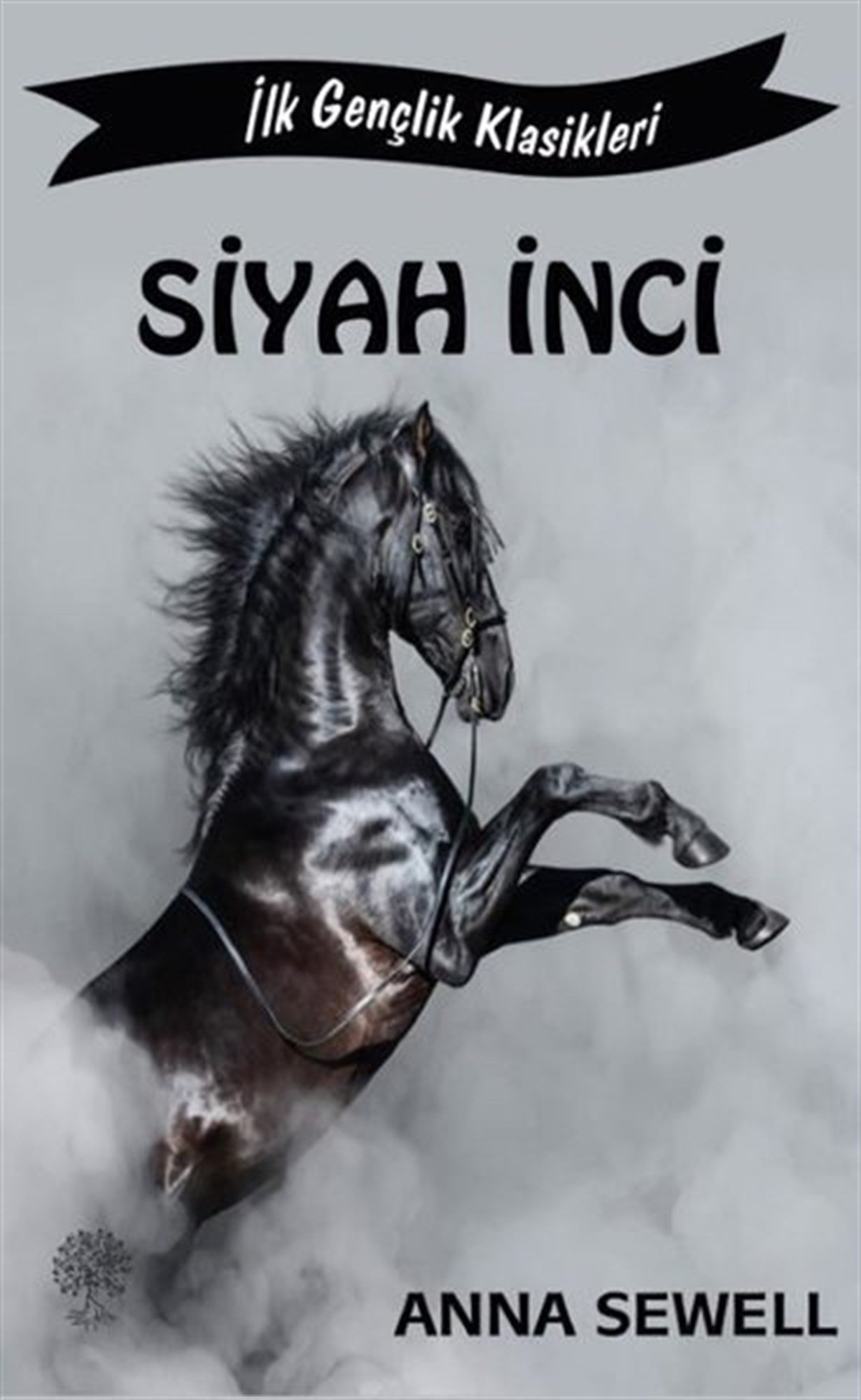 Anna SewellDünya RomanSiyah İnci