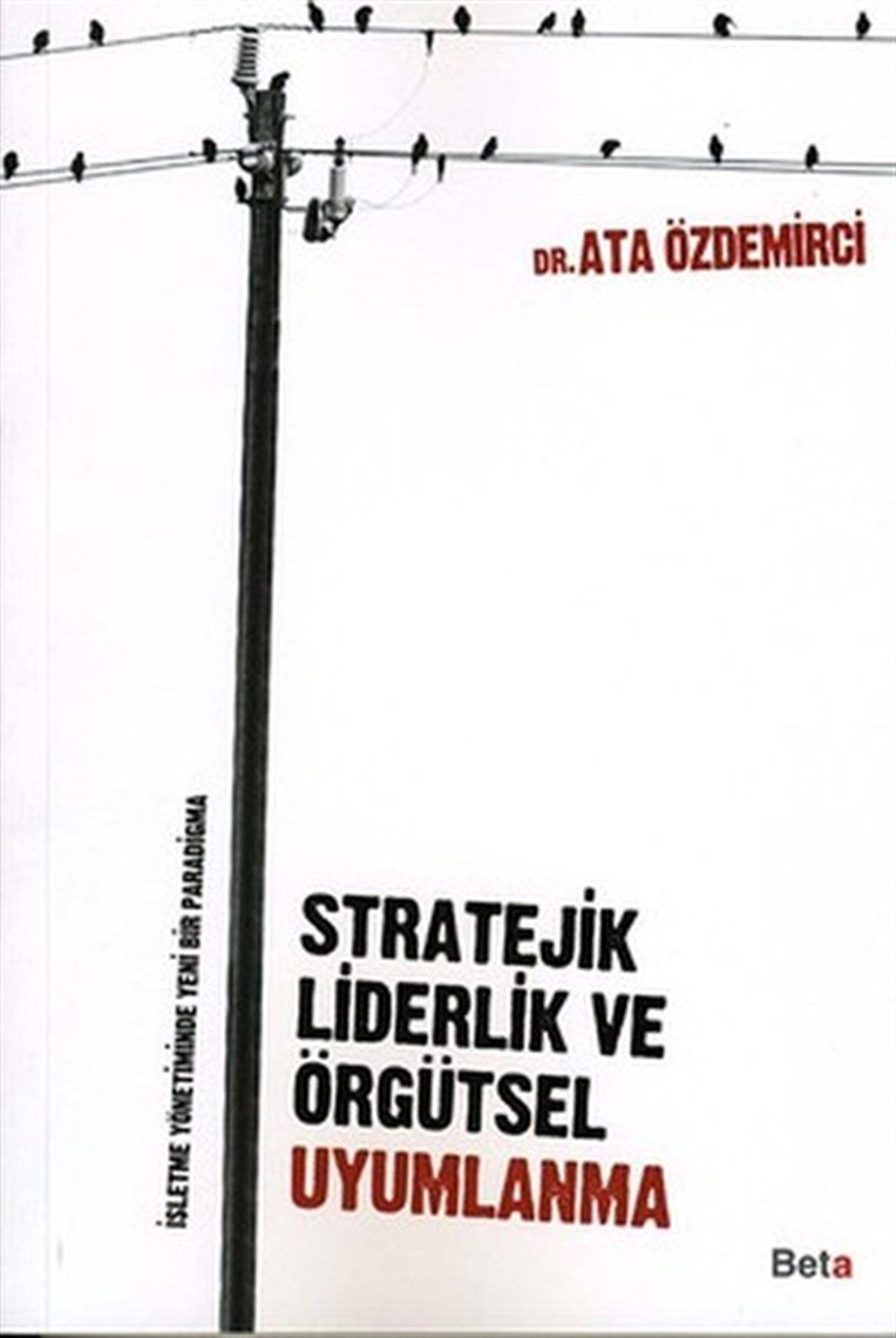 Ata ÖzdemirciYönetim / İş Geliştirme / KaliteStratejik Liderlik ve Örgütsel Uyumlanma
