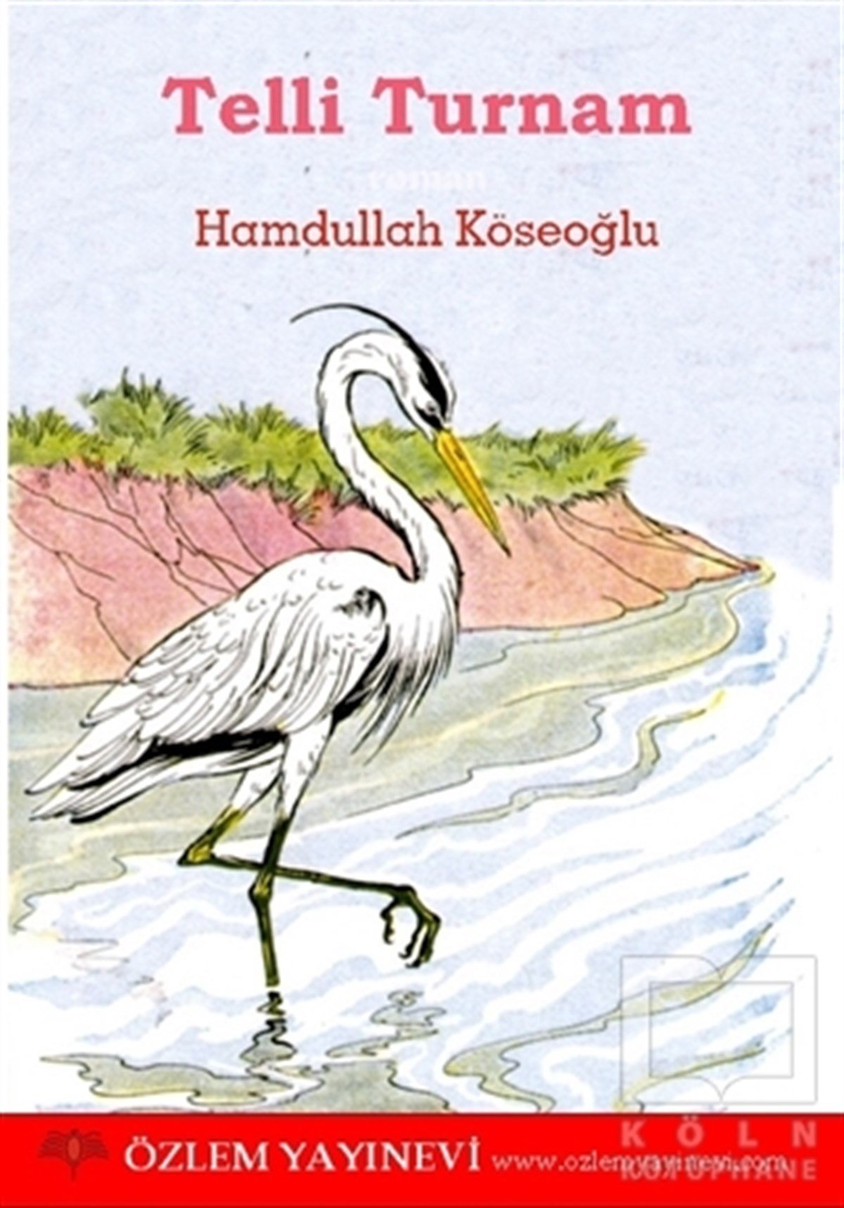 Hamdullah KöseoğluRomanTelli Turnam