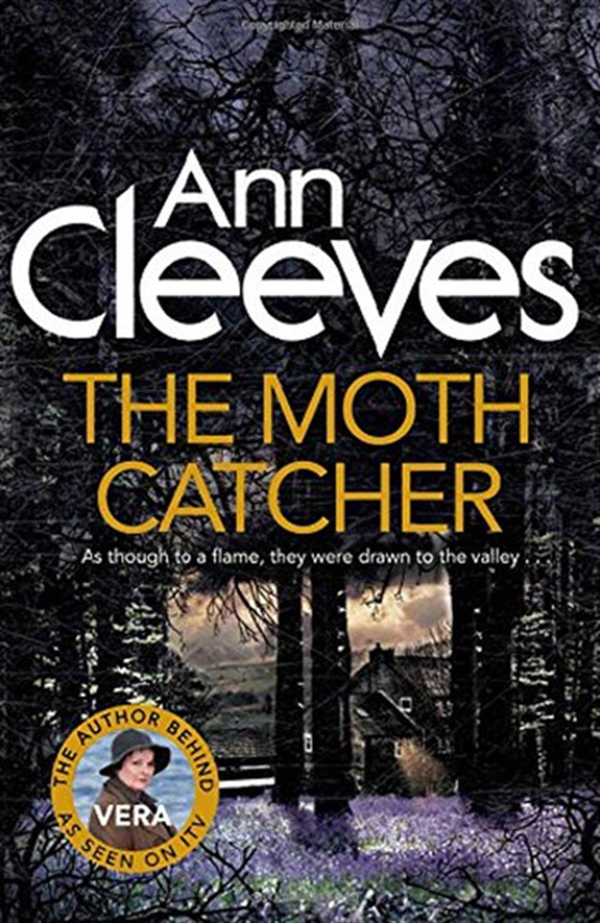 Ann CleevesMystery/Crime/ThrillerThe Moth Catcher