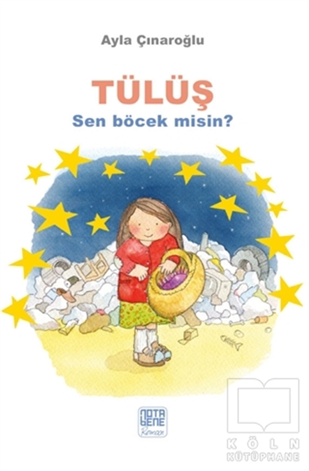 Ayla ÇınaroğluTürkçe RomanlarTülüş