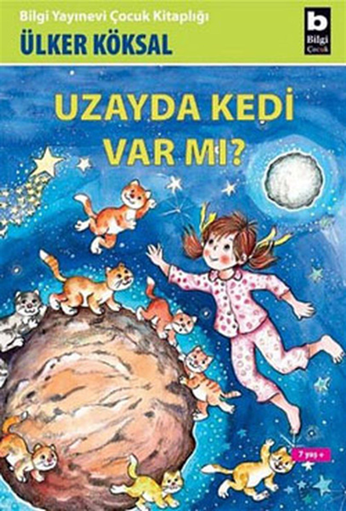 Ülker KöksalÇocuk Gençlik RomanlarıUzayda Kedi Var mı?