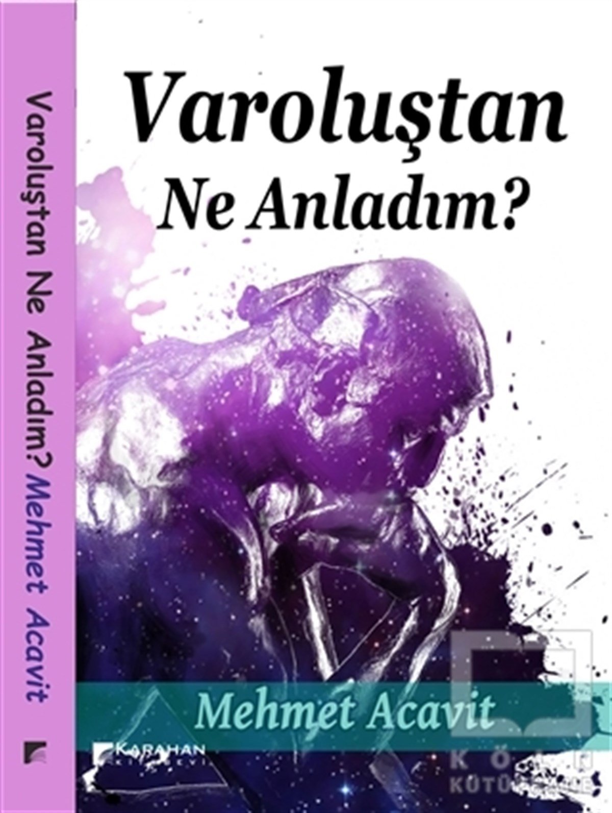 Mehmet AcavitDiğerVaroluştan Ne Anladım?