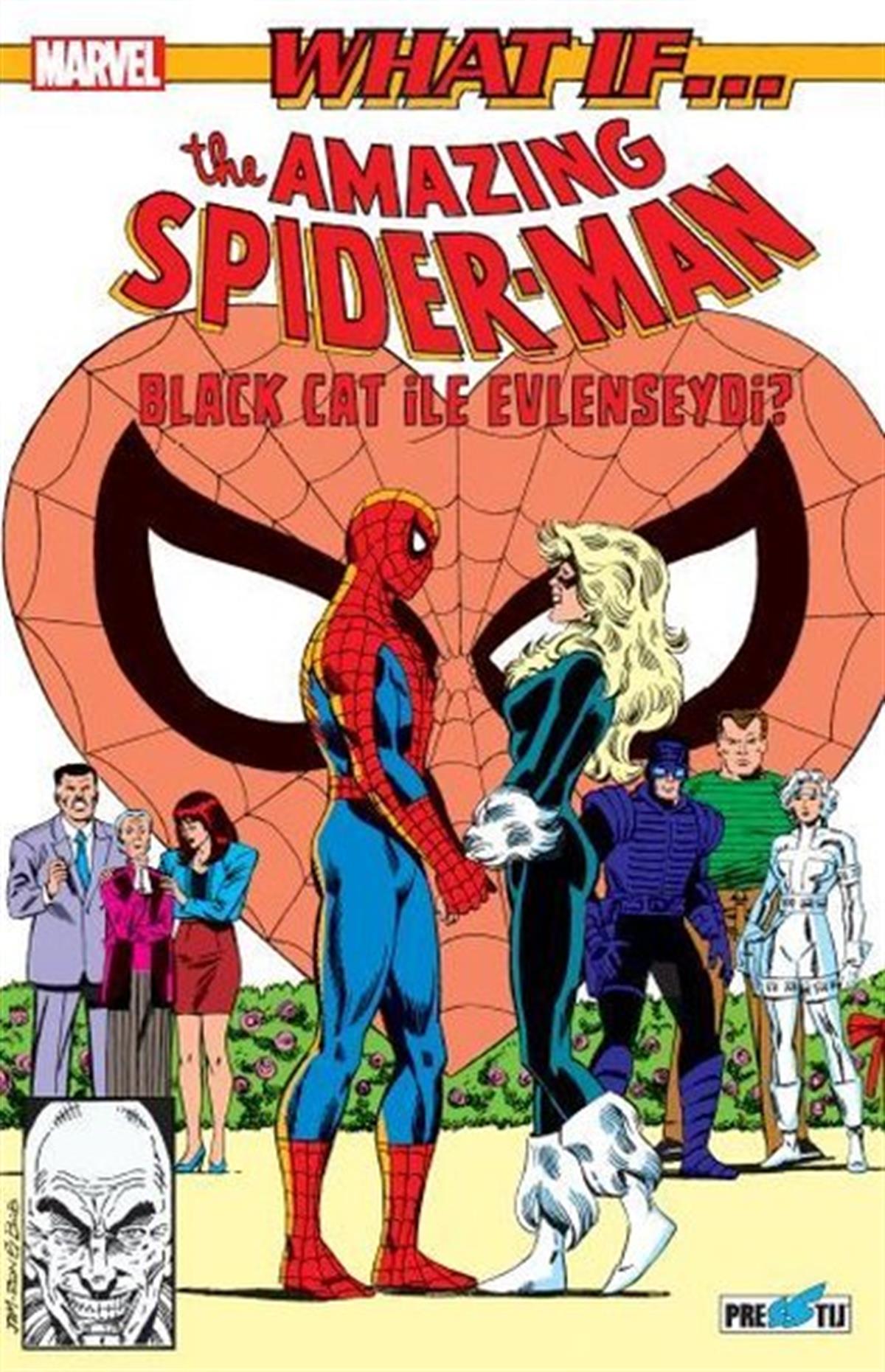 Danny FingerothÇizgi RomanlarWhat If Spider-Man Black Cat ile Evlenseydi?