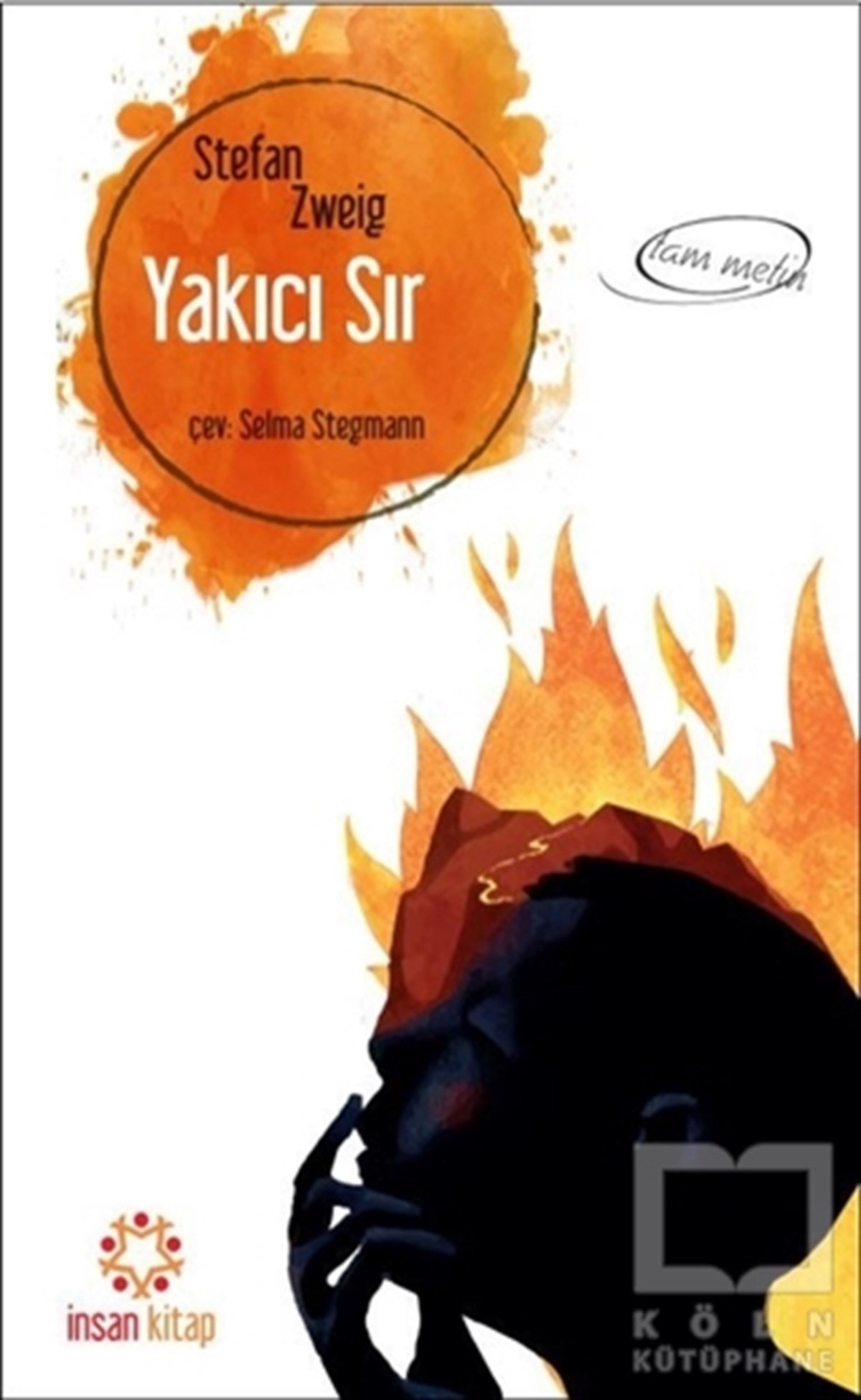 Stefan ZweigRomanYakıcı Sır