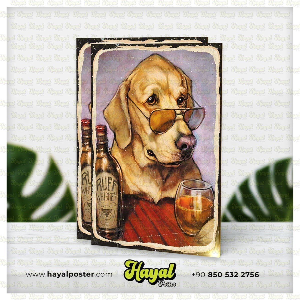 Yaşlanmış Köpek Ahşap Retro
