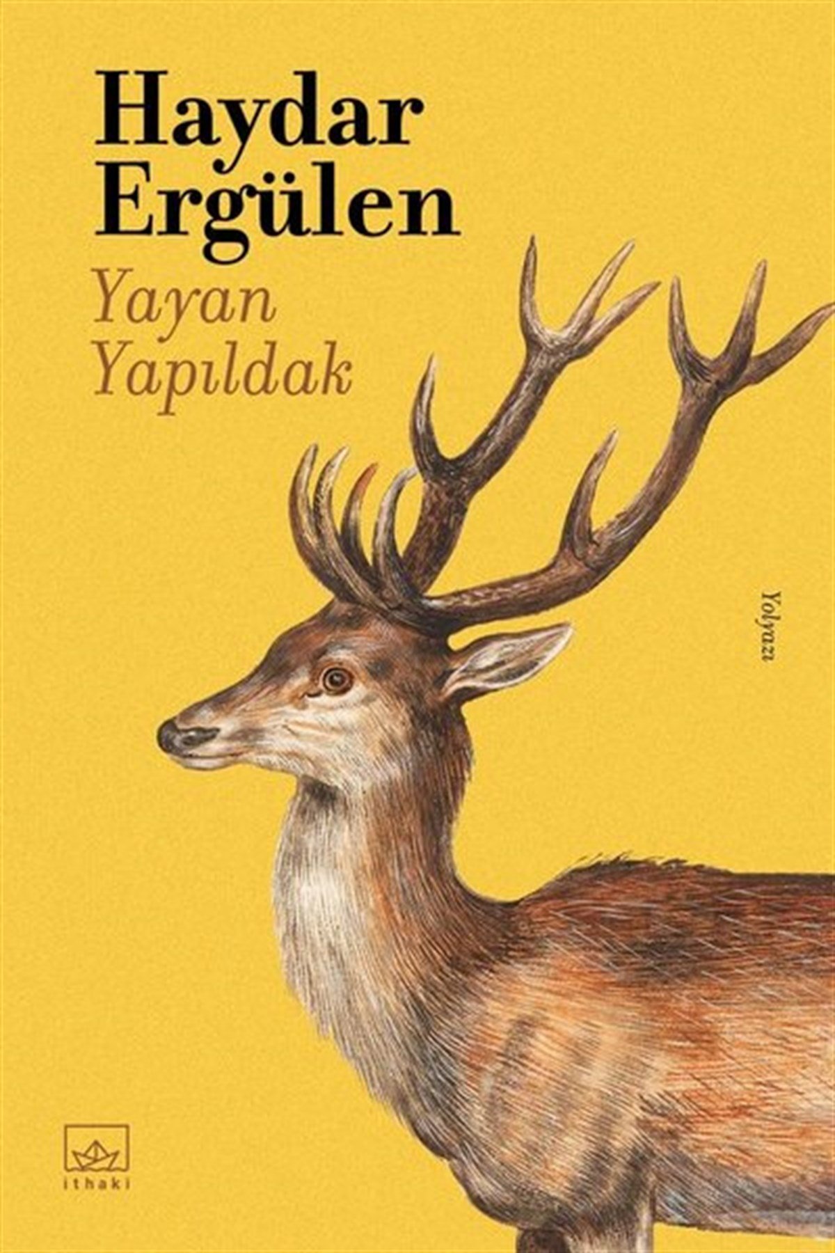 Haydar ErgülenDeneme KitaplarıYayan Yapıldak