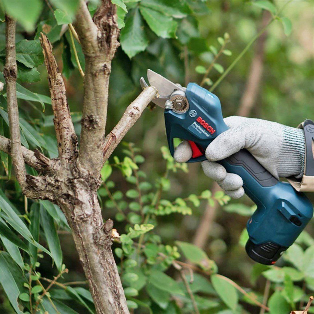 Bosch 12V Pro Pruner Akülü Bahçe Makası (2*2Ah) Çift Akülü 