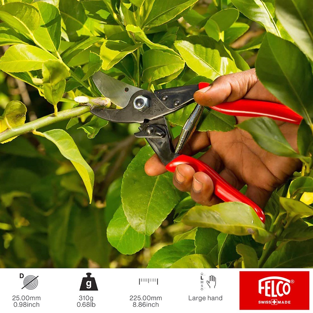 FELCO 5 BUDAMA MAKASI