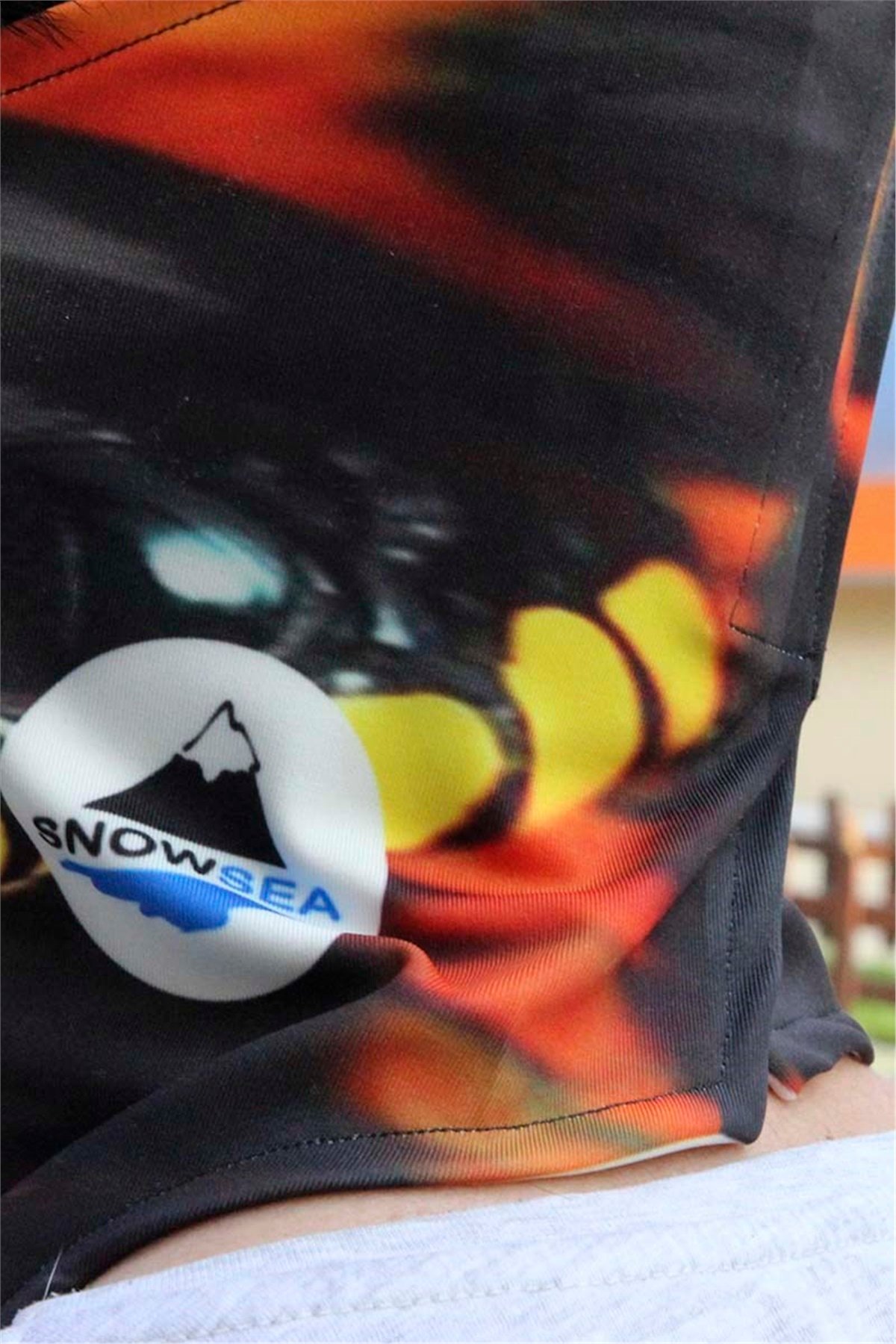  Snowsea 2075