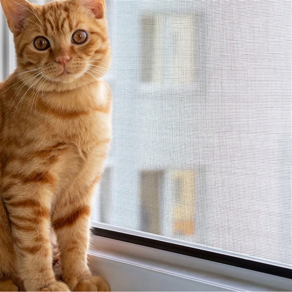 SİNEKLİK KEDİ TÜLÜ 