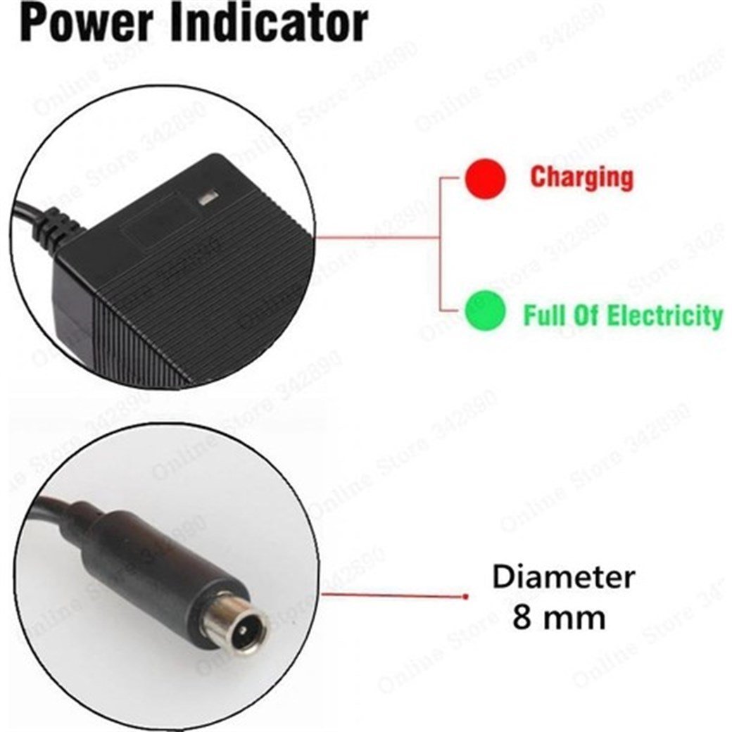 ELECTRIC SCOOTER CHARGER (EU STANDARD)