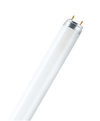 L 18W/865 FLORESAN OSRAM