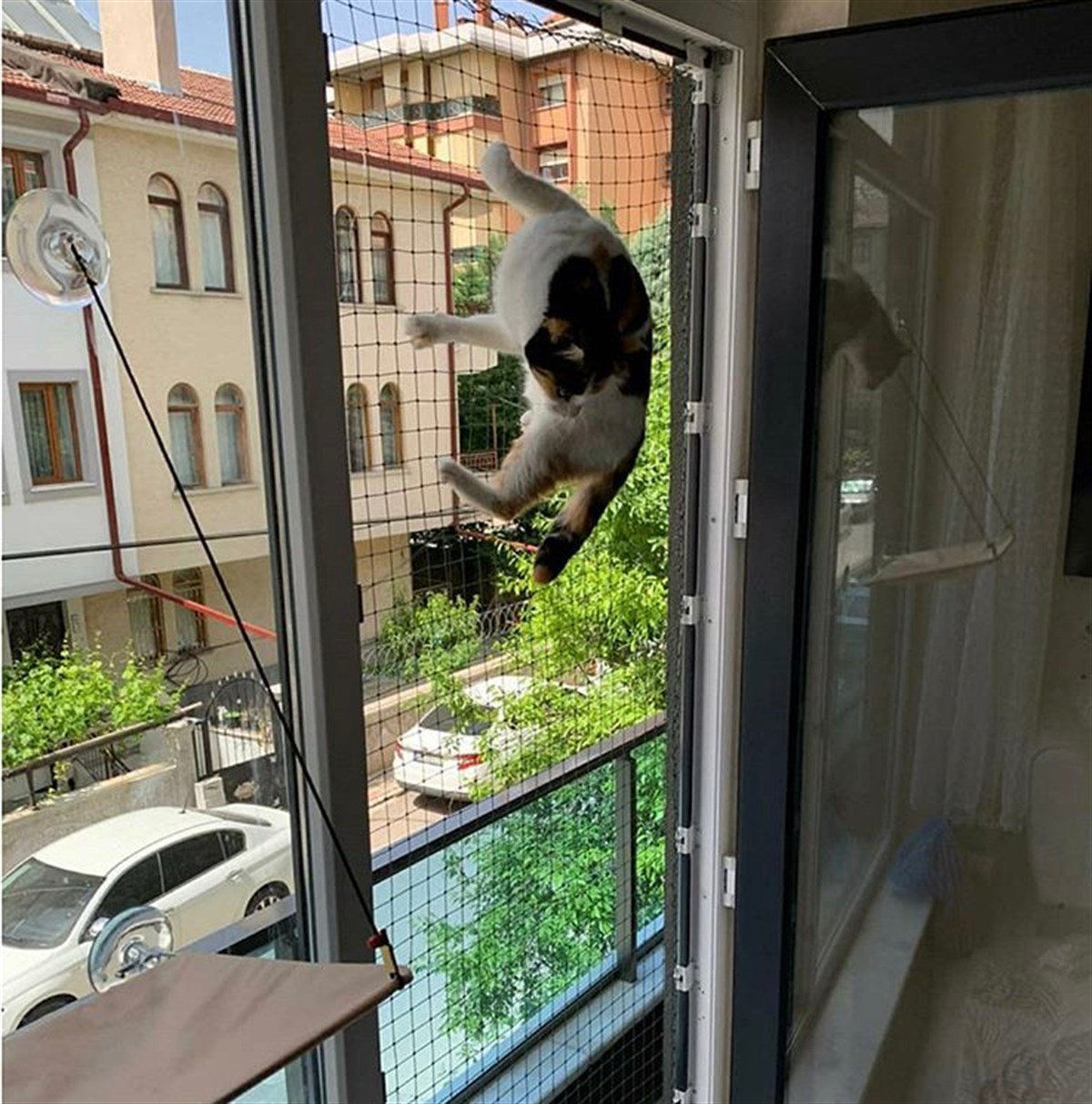 WINBLOCK PETS – Kediler için Pencere Güvenlik Ağı, Kedi Filesi Sistemi – FRANSIZ BALKON KAPISI