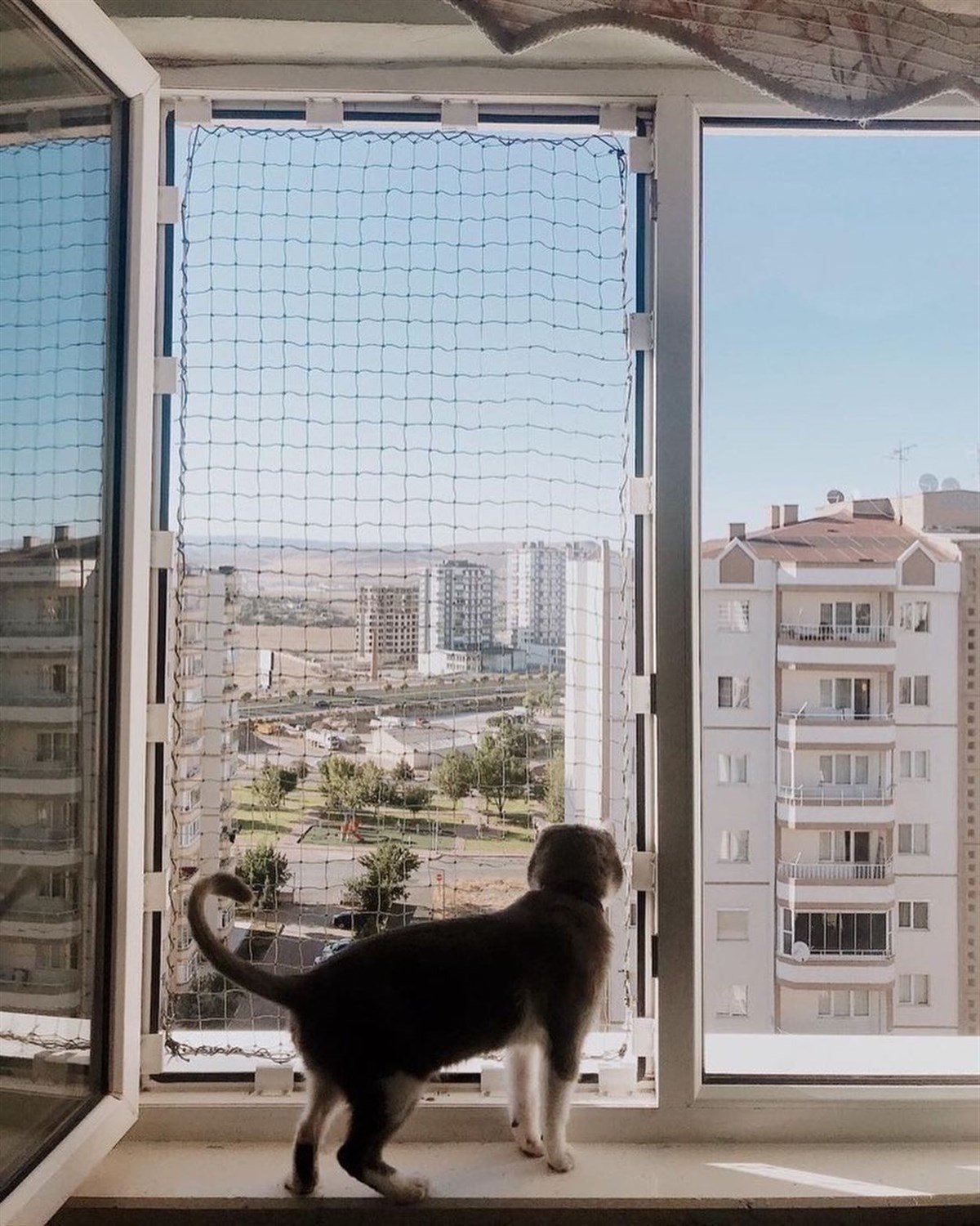 WINBLOCK PETS – Kediler için Pencere Güvenlik Ağı, Kedi Filesi Sistemi – ÇİFT KANAT KUTU
