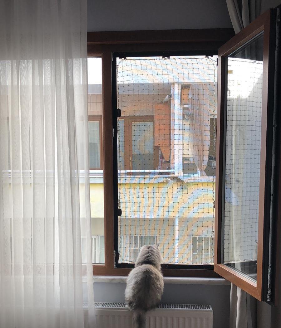 WINBLOCK PETS – Kediler için Pencere Güvenlik Ağı, Kedi Filesi Sistemi – TEK KANAT KUTU 60 x 120 Cm
