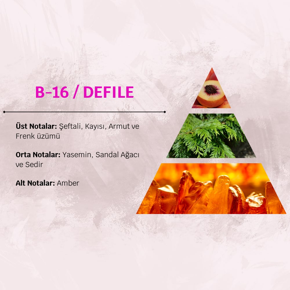 David Walker DEFILE B16 50ML Bayan Parfüm