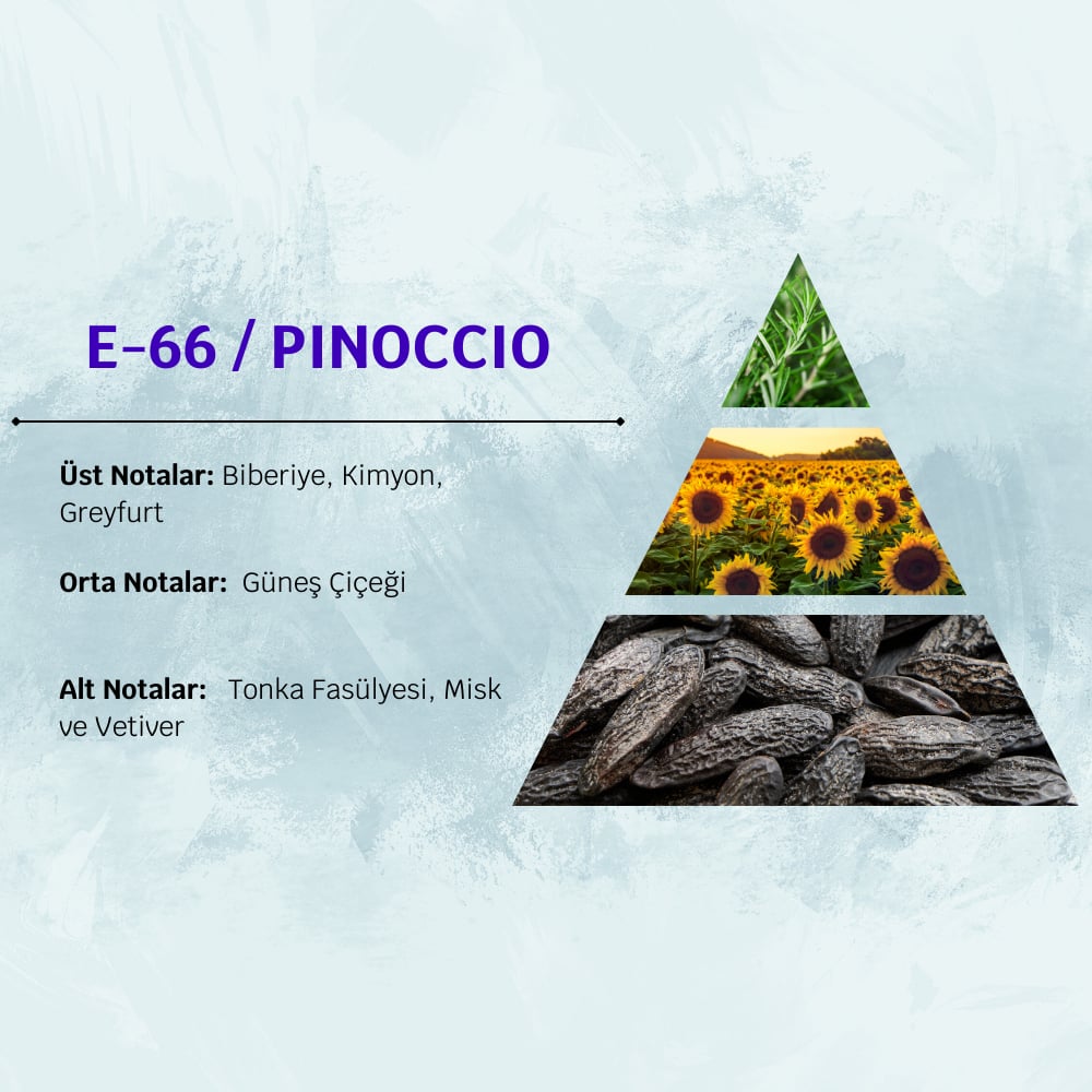 PINOCCIO