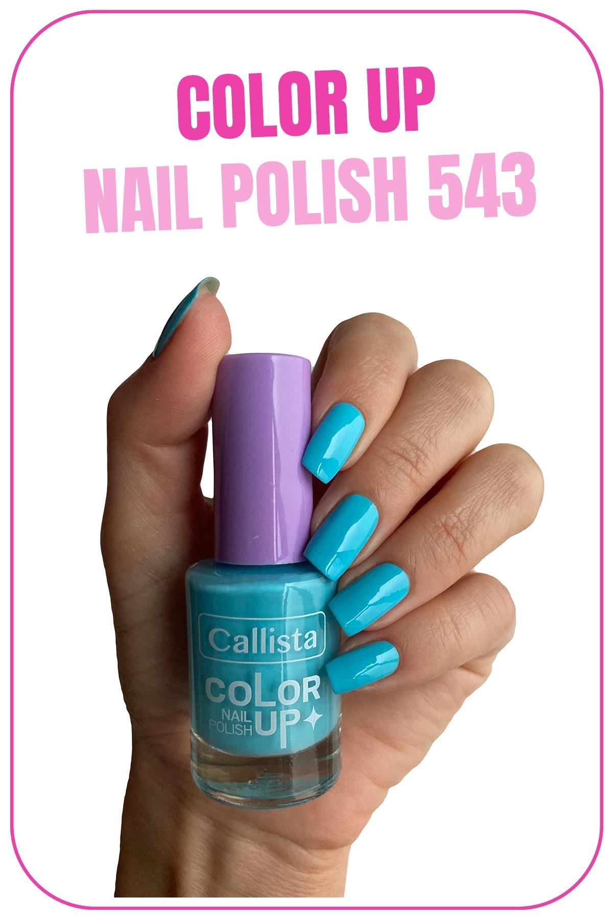 Callista Color Up Nail Polish Oje 543 Rare in Nature - Mavi-40110158